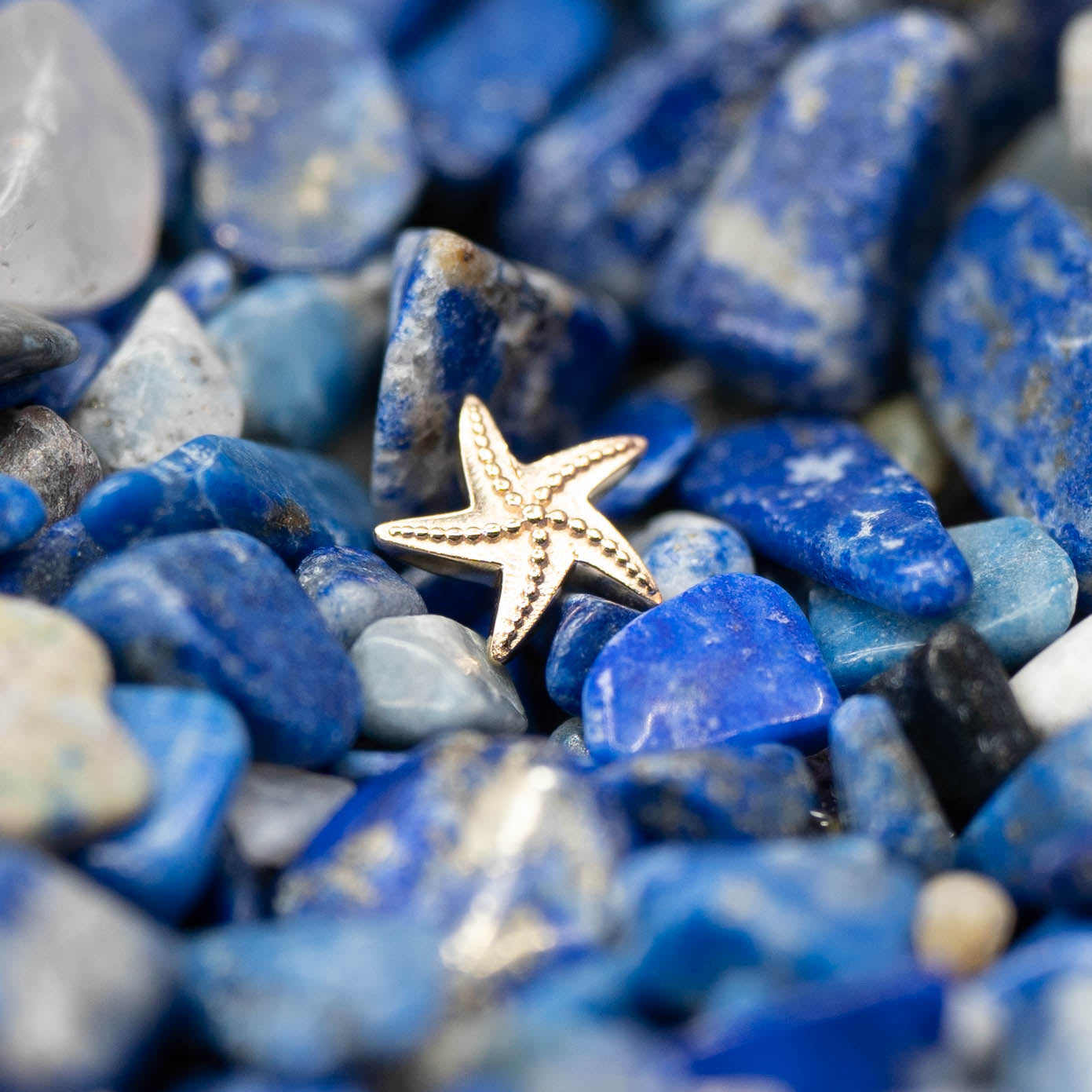 Starfish