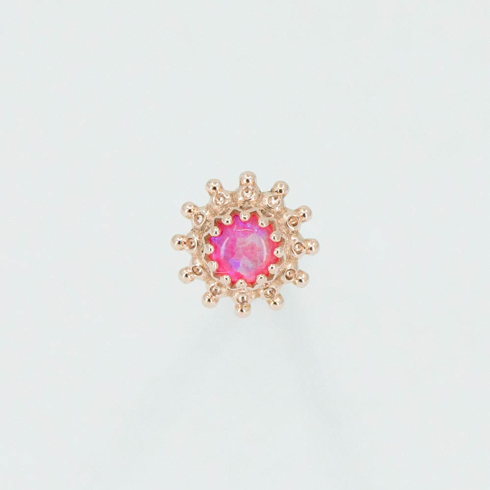 Zinnia Dot Cluster