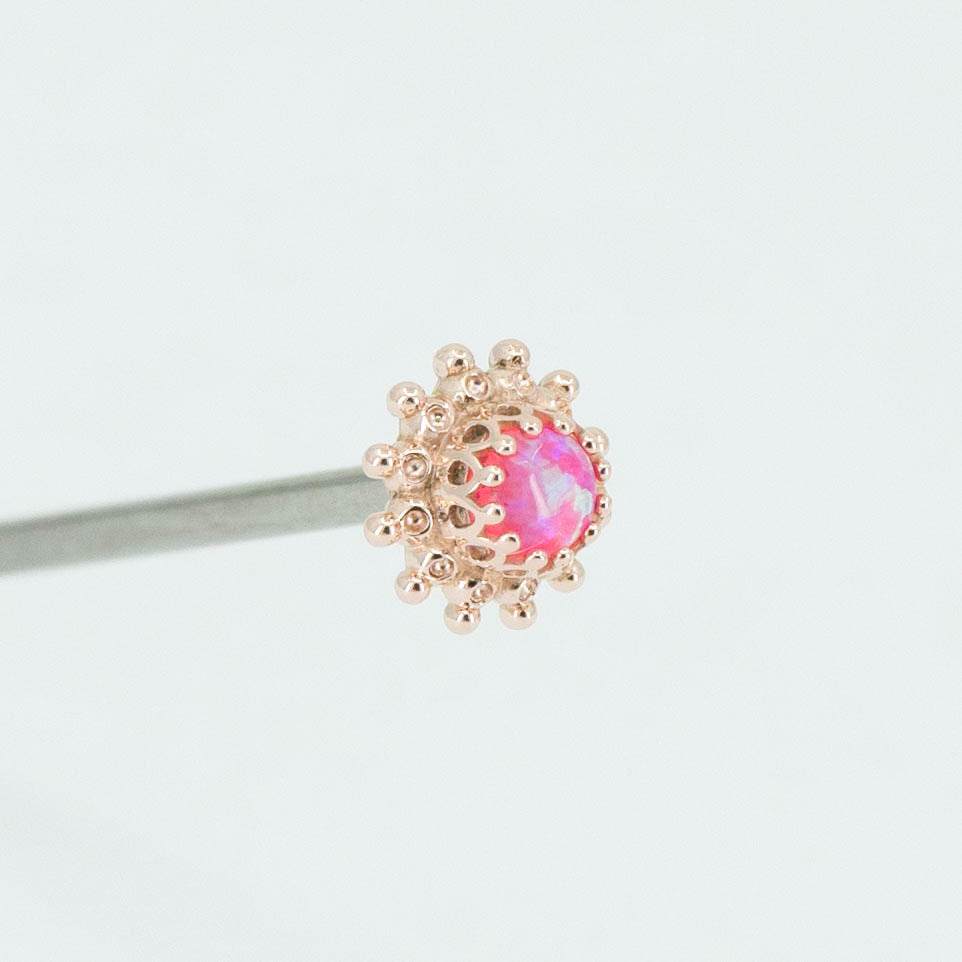 Zinnia Dot Cluster
