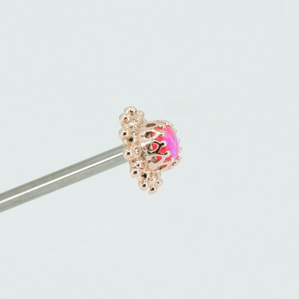 Zinnia Dot Cluster