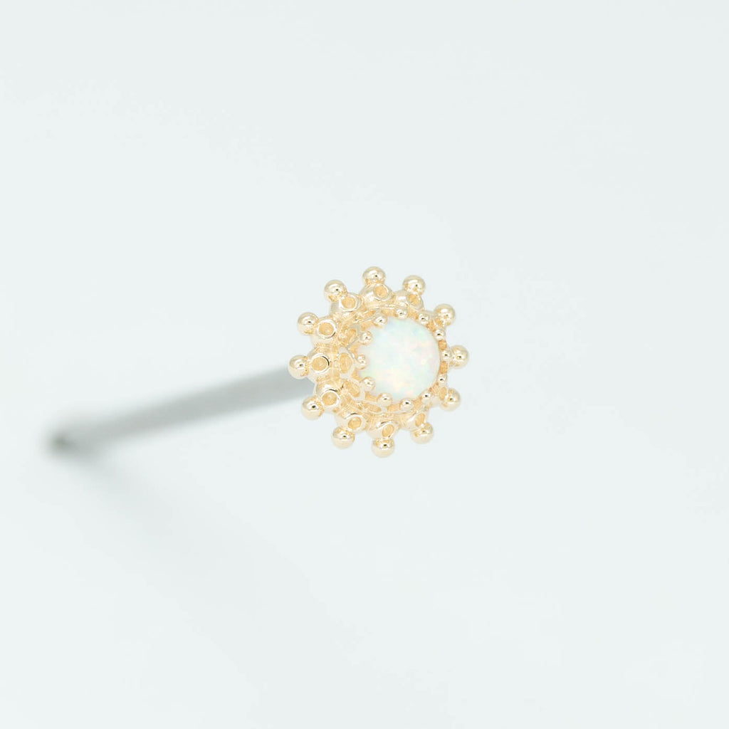 Zinnia Dot Cluster