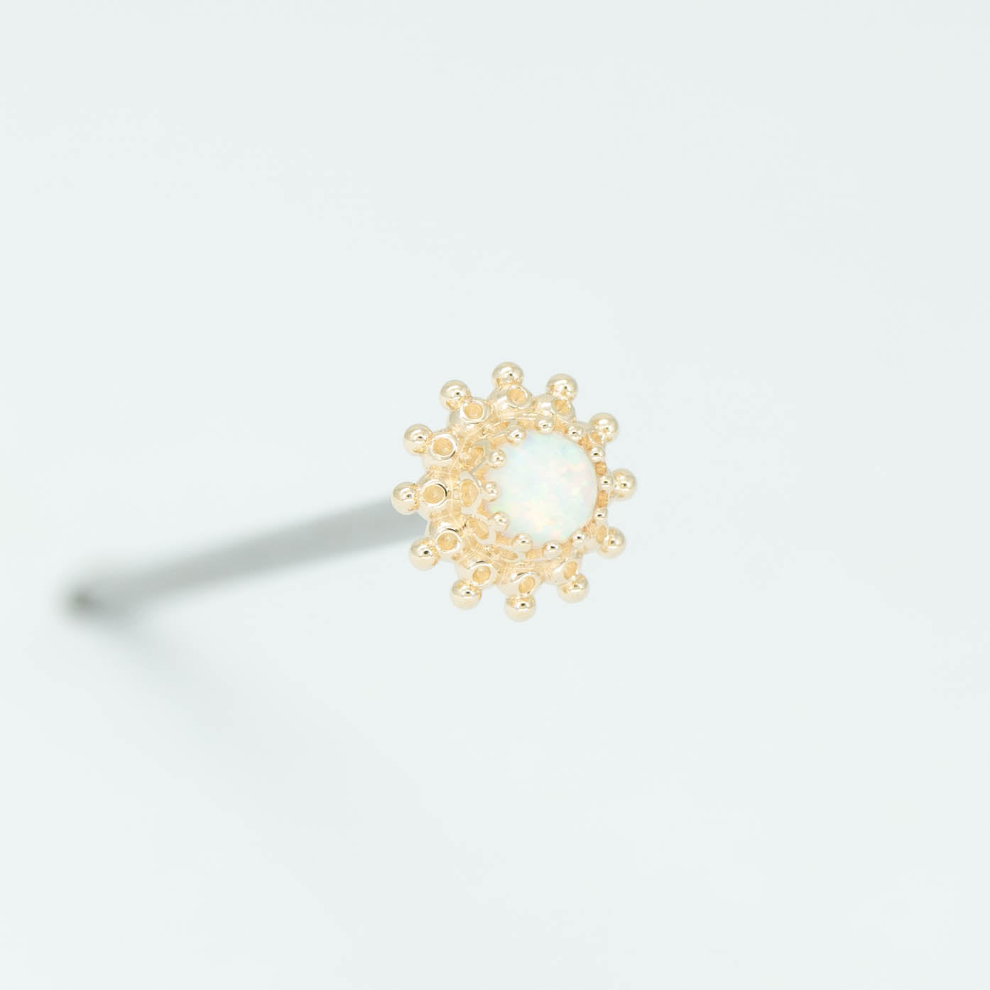 Zinnia Dot Cluster