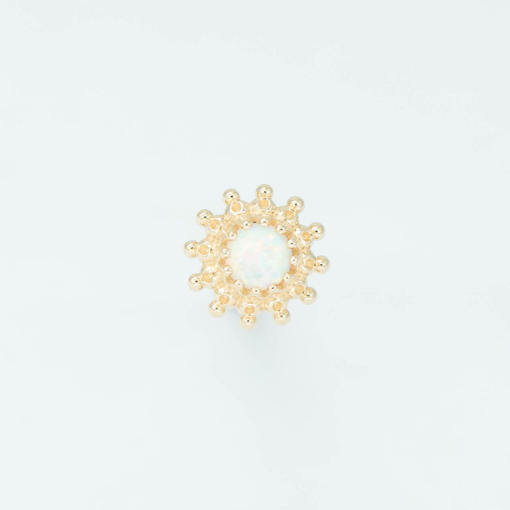 Zinnia Dot Cluster