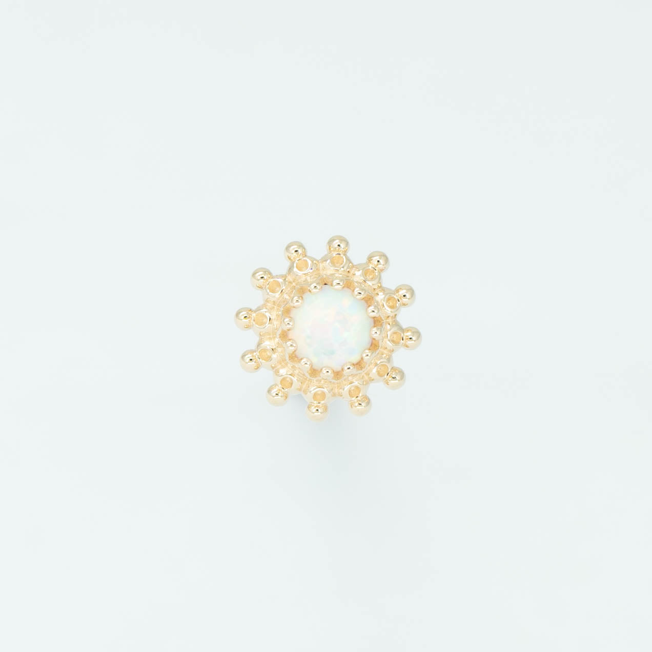 Zinnia Dot Cluster